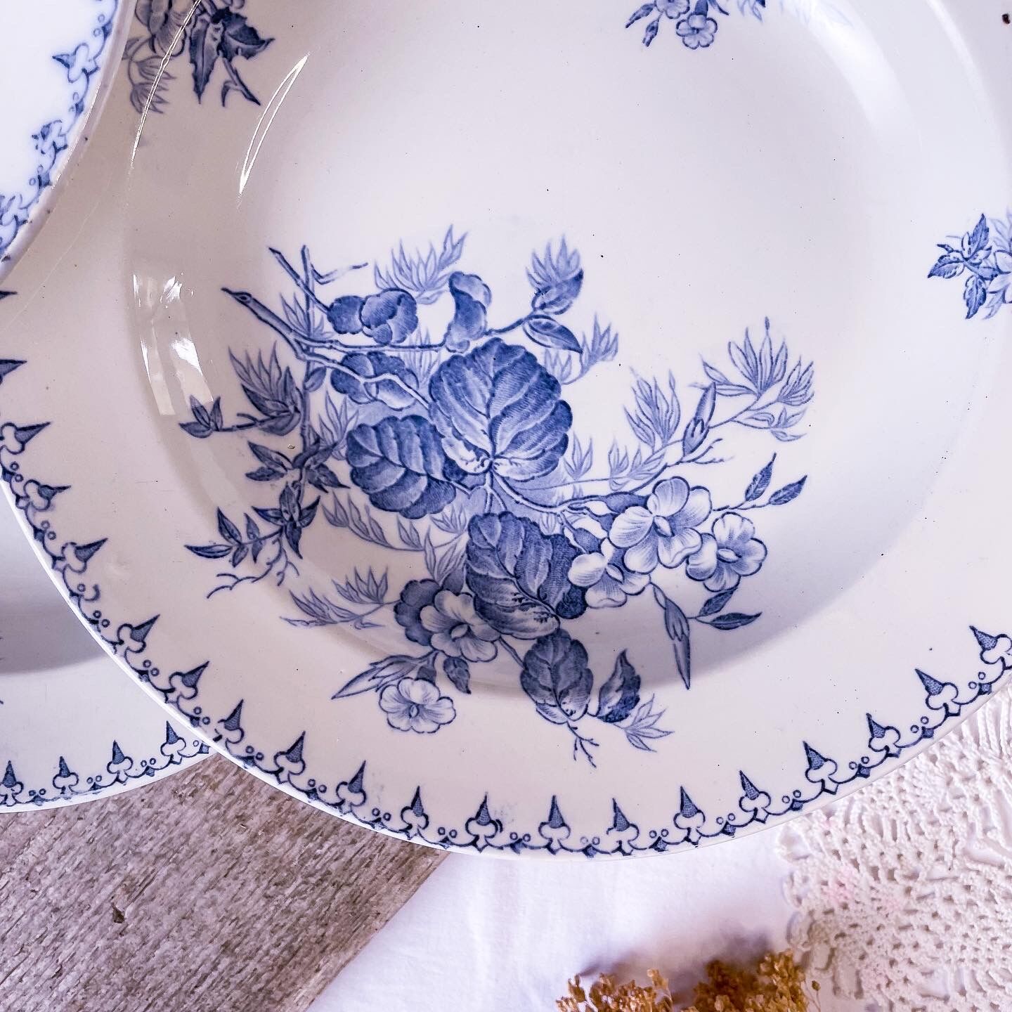 6 hollow plates iron earth model Flora