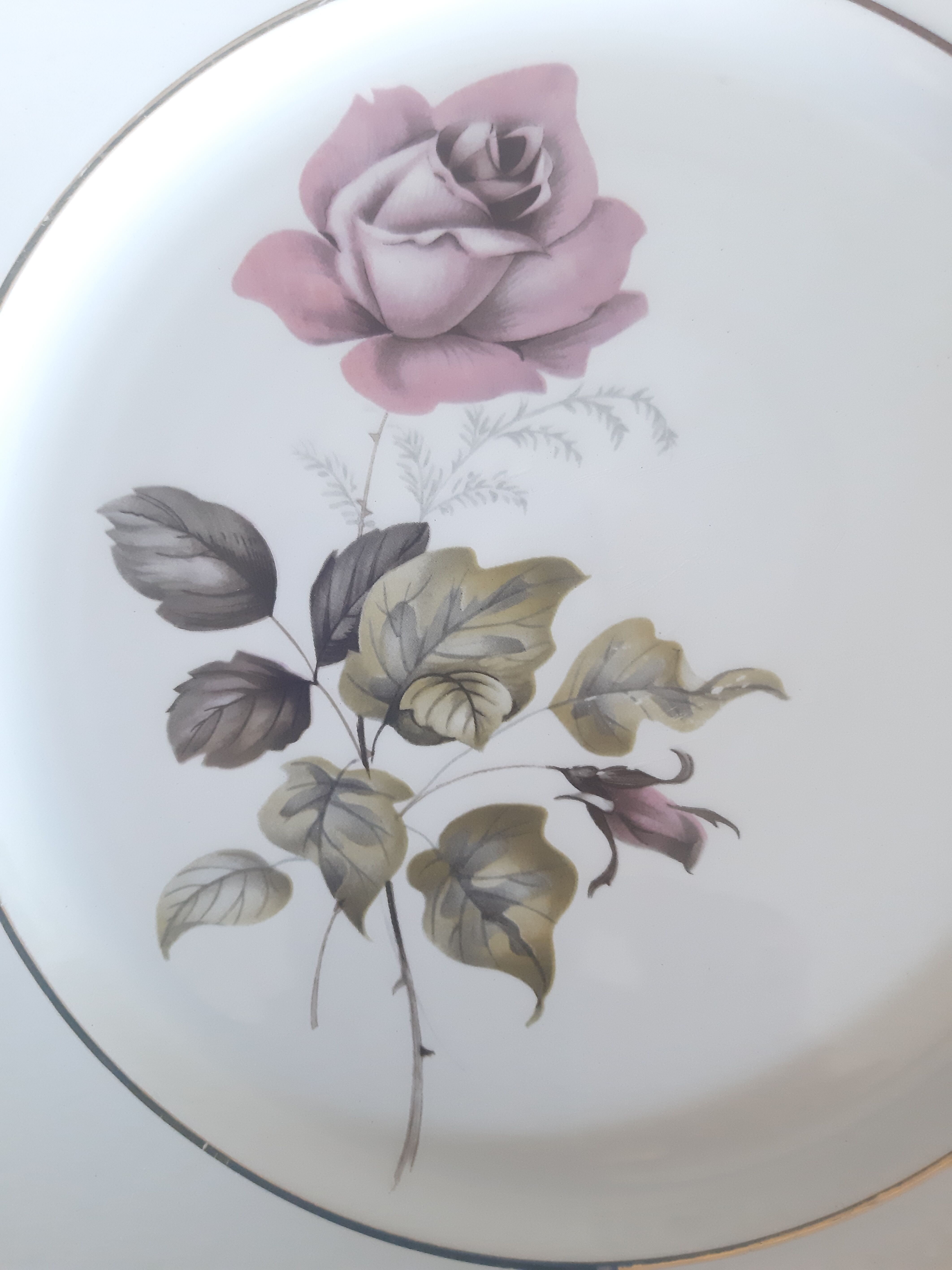 Flat plates Lunéville Badonvillier