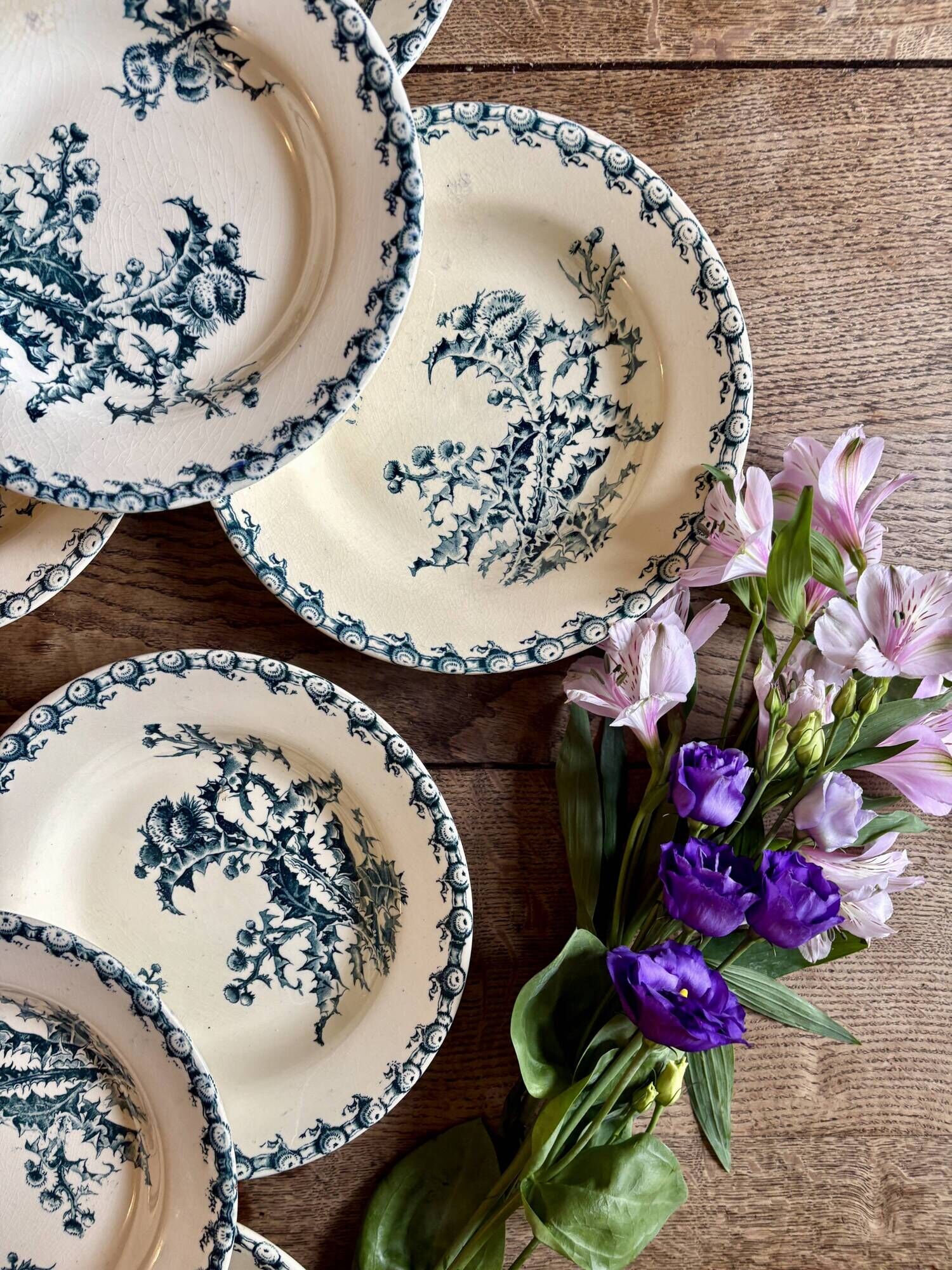 Set of 8 antique deep plates in ironstone, Chardons de Gien