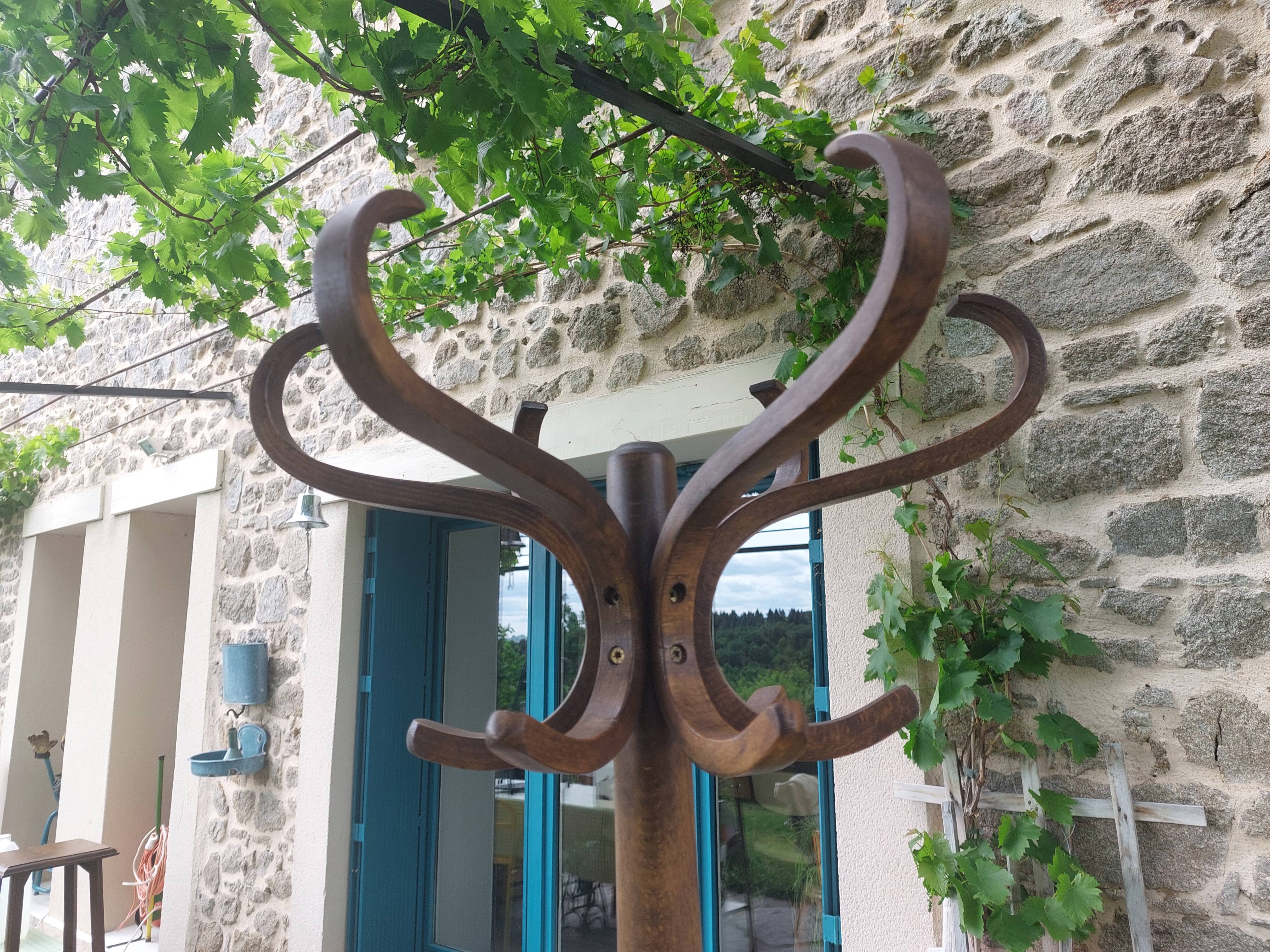 coat rack parrot solid wood, Baumann style