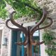 coat rack parrot solid wood, Baumann style
