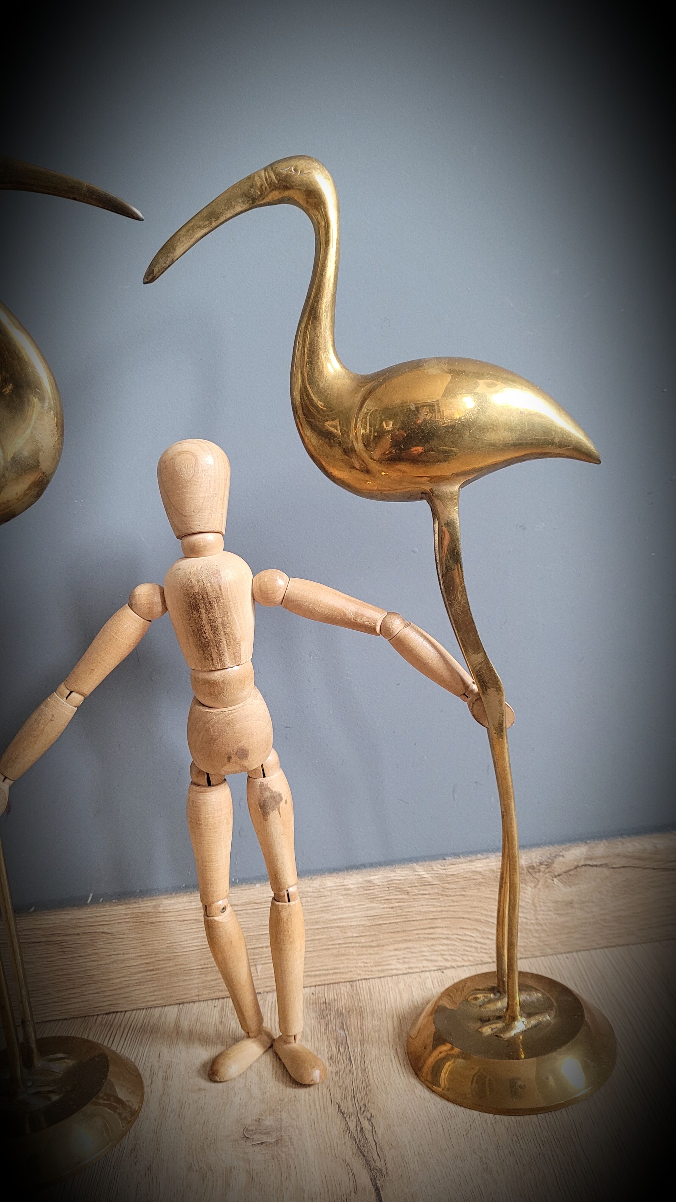 Duo great brass ibis