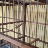 Birdcage