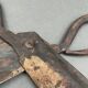 Scissors for shearing sheep