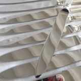 Set of 12 table knives in silver metal