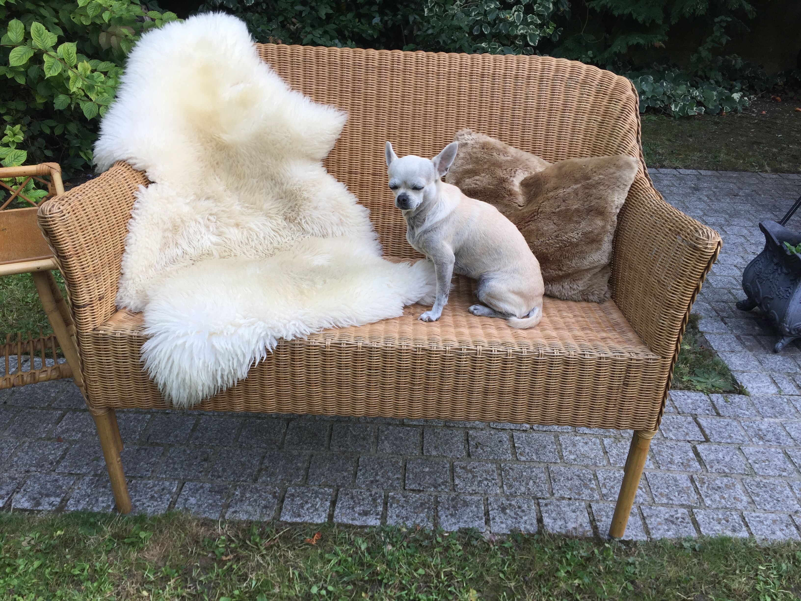 Banquette en bambou, rotin & osier adulte vintage
