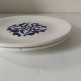 Pair of antique plates from Kharraz Nabeul, 1920s-1940s