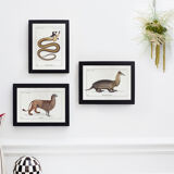 Set of 3 chimeras lithography animal engraving