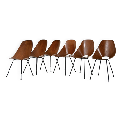 6x Chaises « Medea » par Vittorio Nobili pour Frattelli Tagliabue, 1950s