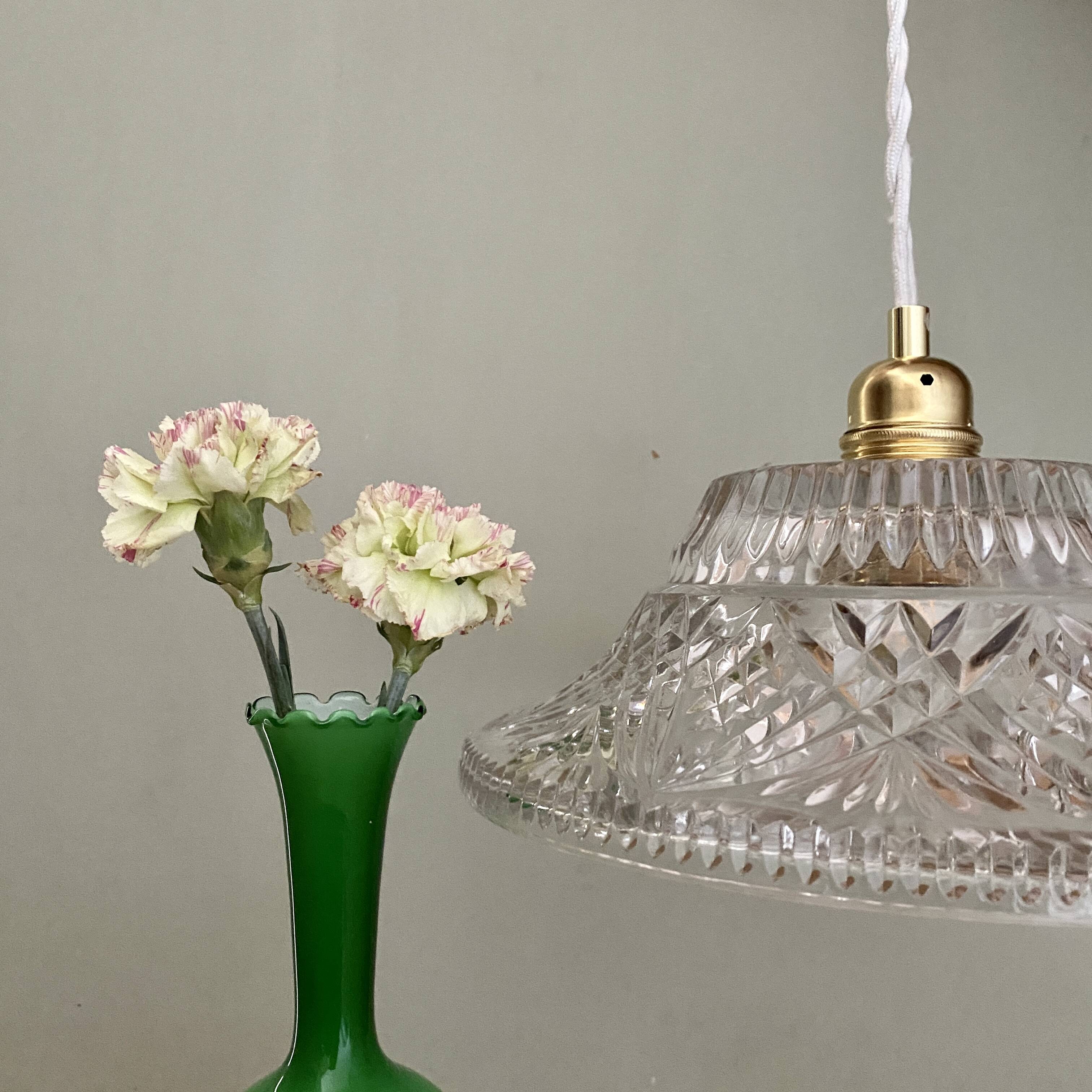 Vintage molded glass lampshade pendant light - tableware collection -