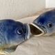 2 vases en barbotine poisson