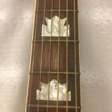 guitar Suzuki j200