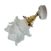 Glass and porcelain flower wall lamp