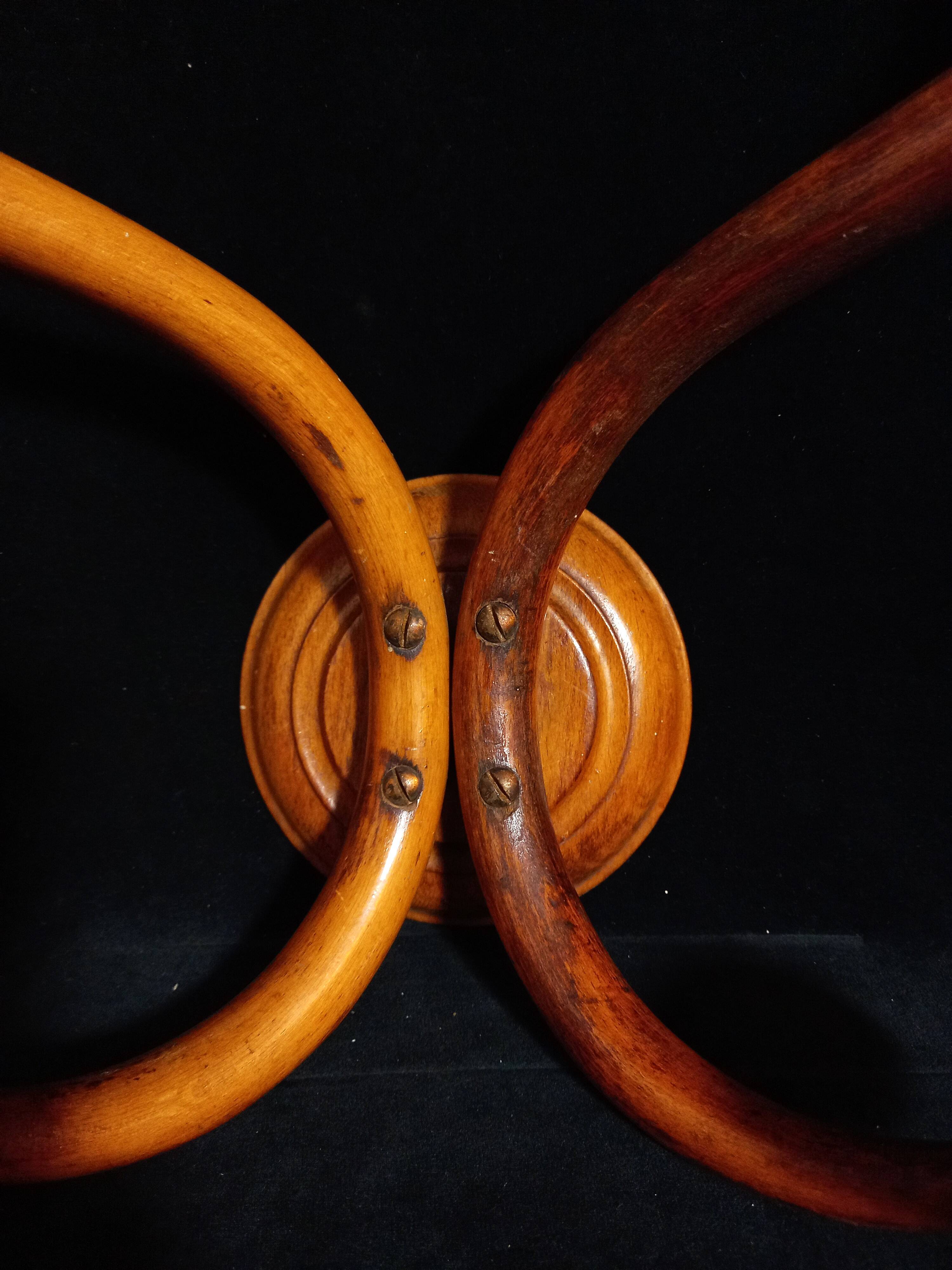 Double Art Nouveau Coat Hook in Bent Wood from Thonet