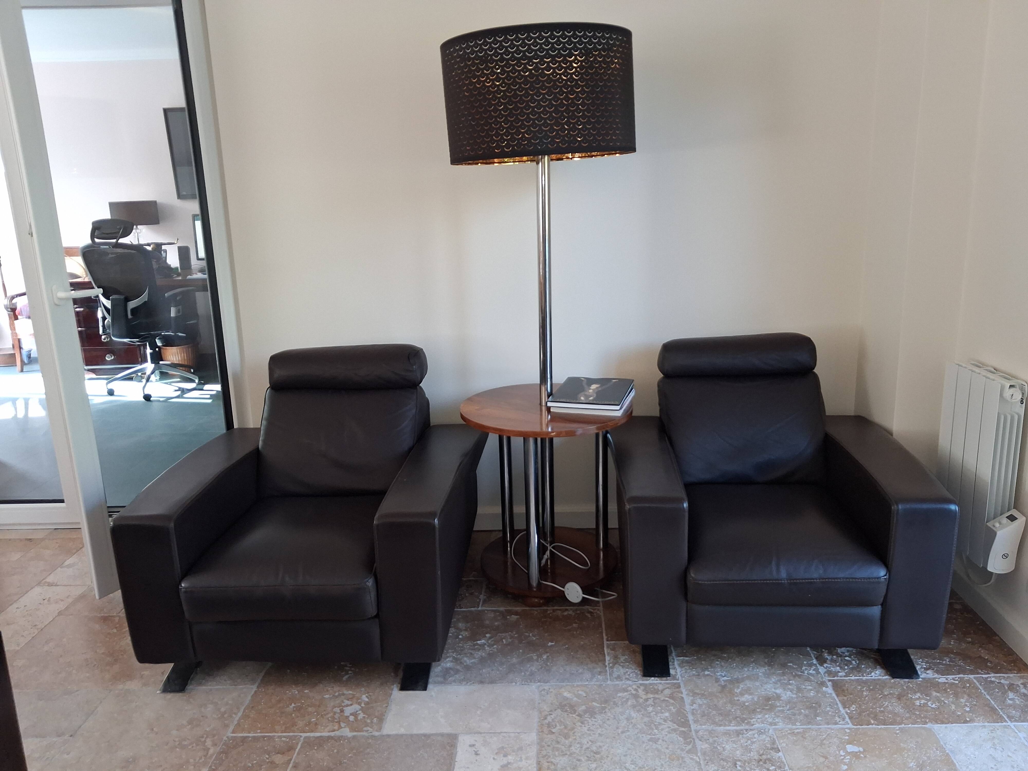 Fauteuils roche bobois