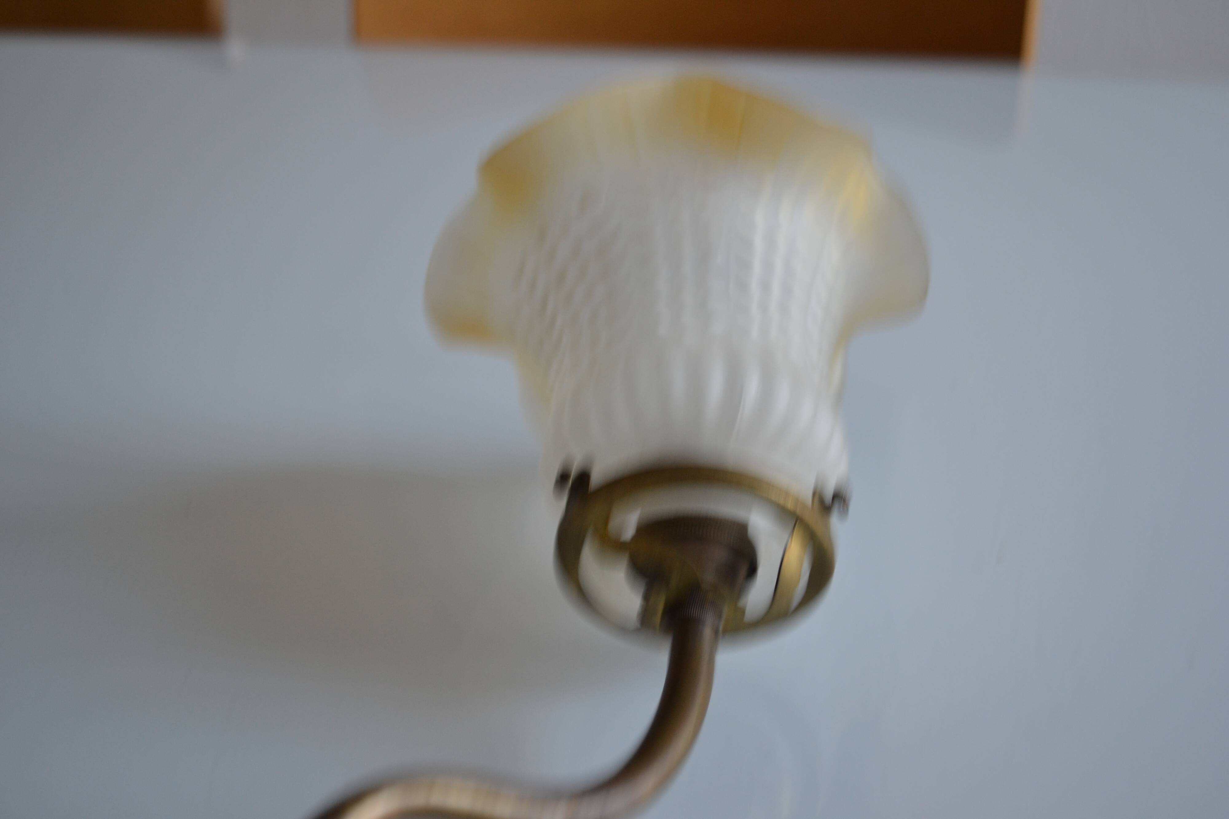 Swan neck wall lamp and its tulip, early 20th century.