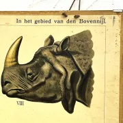 School poster J.B. Wolters