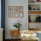 Green Oak | 1961 | Lepidoptera insect | Original pedagogical board| Entomology