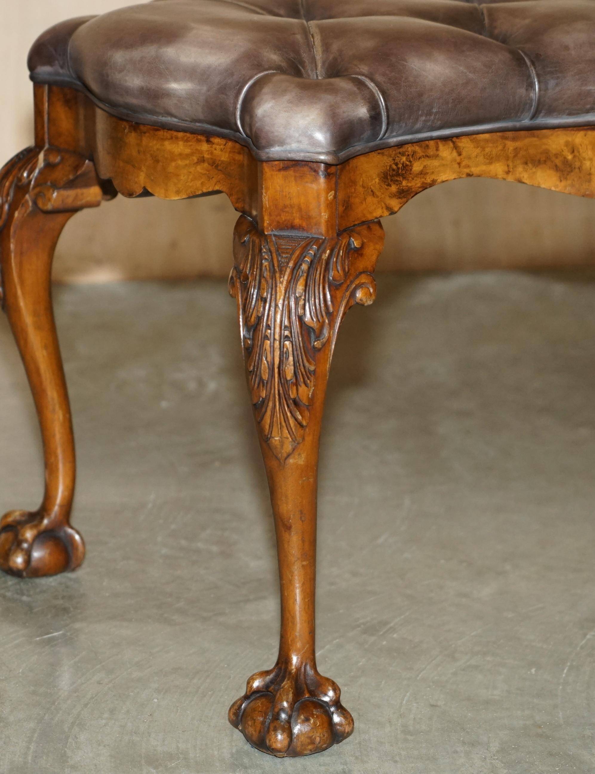Banc ancien en cuir et noyer burr, style victorien
