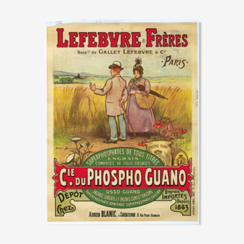 Display old advertising - "Phospho Guano" - Lefebvre brothers