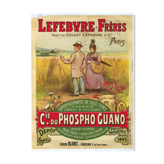 Display old advertising - "Phospho Guano" - Lefebvre brothers