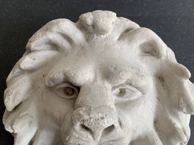 Plaster lion head, early 20th century, Academy of Fine Arts of Saint Gilles, Belgium