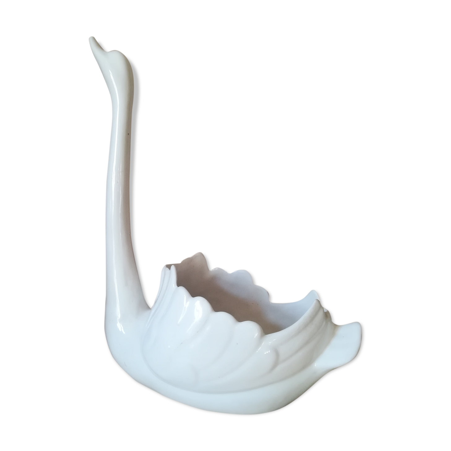 Empty swan pocket in earthenware