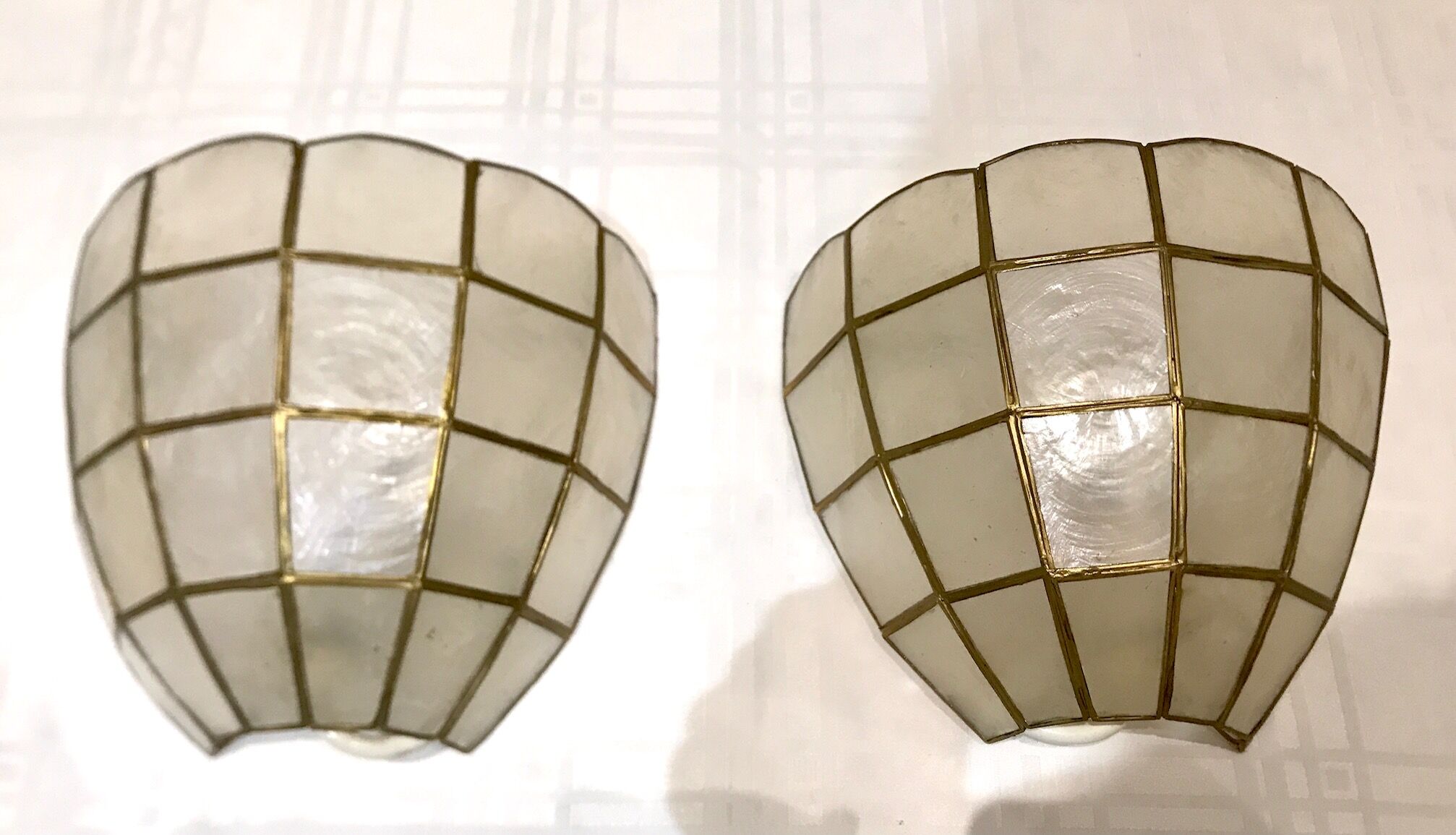 Pair of mother-of-pearl shell sconces