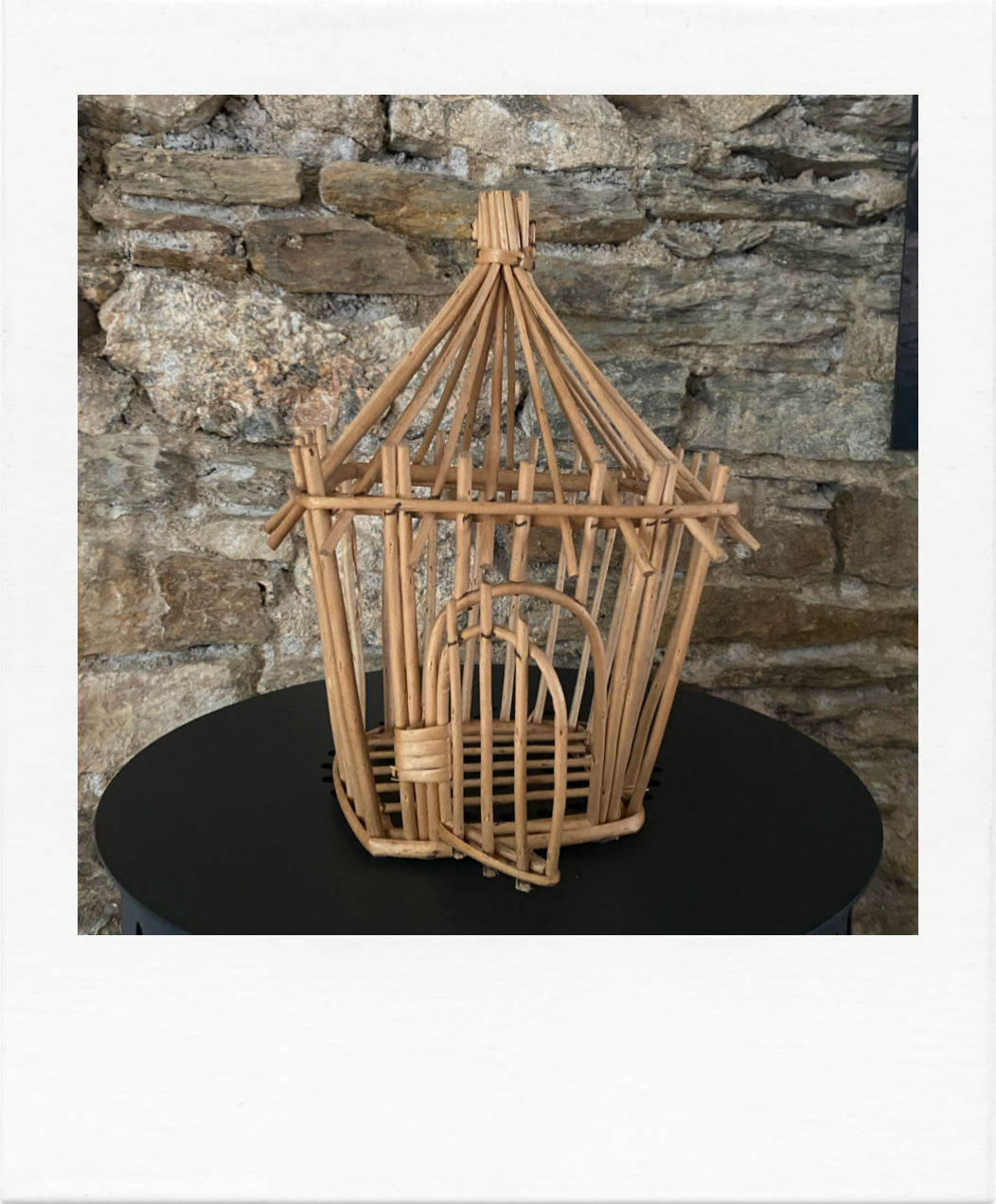 Old bird cage