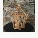 Old bird cage