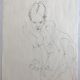 pencil sketch on paper by robert haisley, female body study, seated model