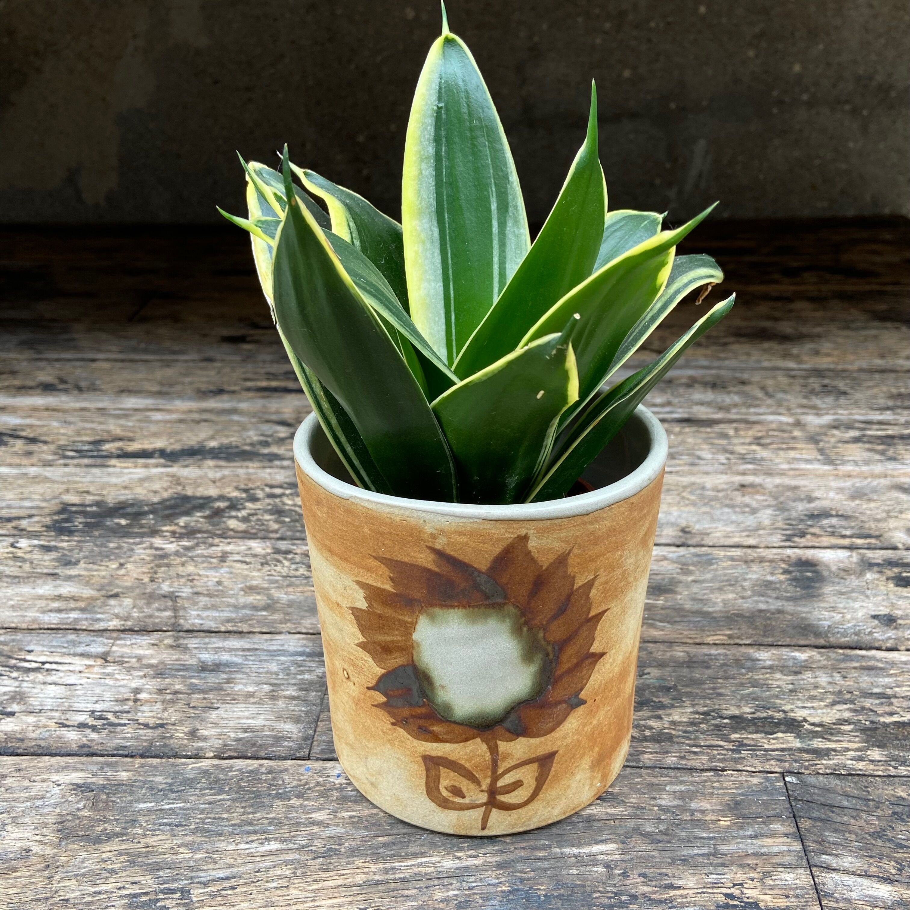 Pot- Pottery La Colombe-Vallauris-70s