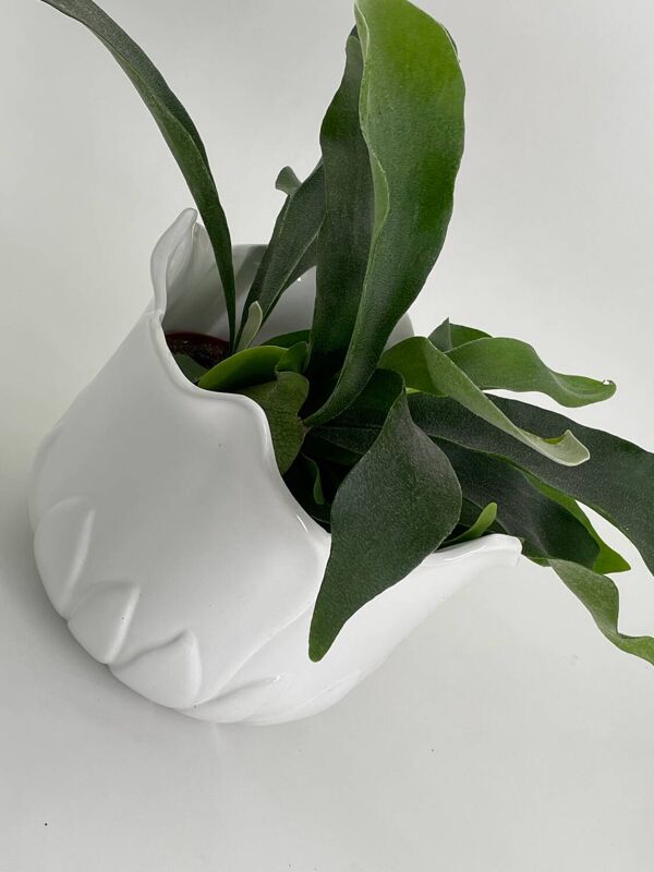 Cache pot en forme de tulipe porcelaine blanc vintage