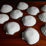 12 scallop shells porcelain biscuit