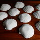 12 coquilles Saint Jacques porcelaine biscuit