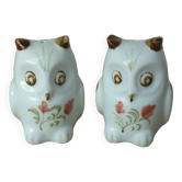 Anciennes salière et poivrière chouette céramique peintes à la main vintage