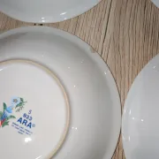 Lot 9 Deep Plates Porcelain Japan ARA S 933 Parrot & F Decor
