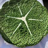 Cabbage tureen slip