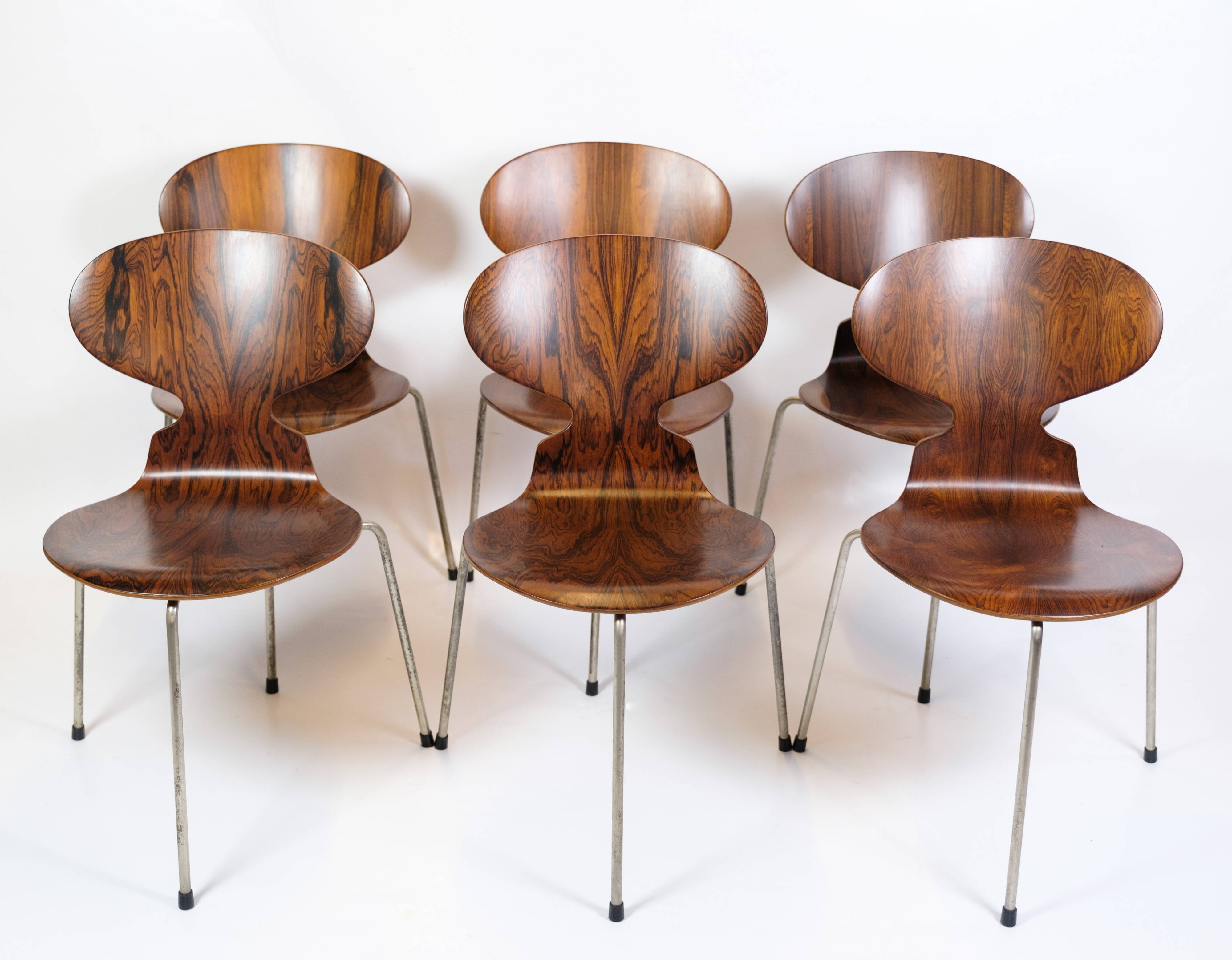 Set Of 6 Ant Chairs Model 3101 Made In Rosewood By Arne Jacobsen For Fritz Hansen From 1950s