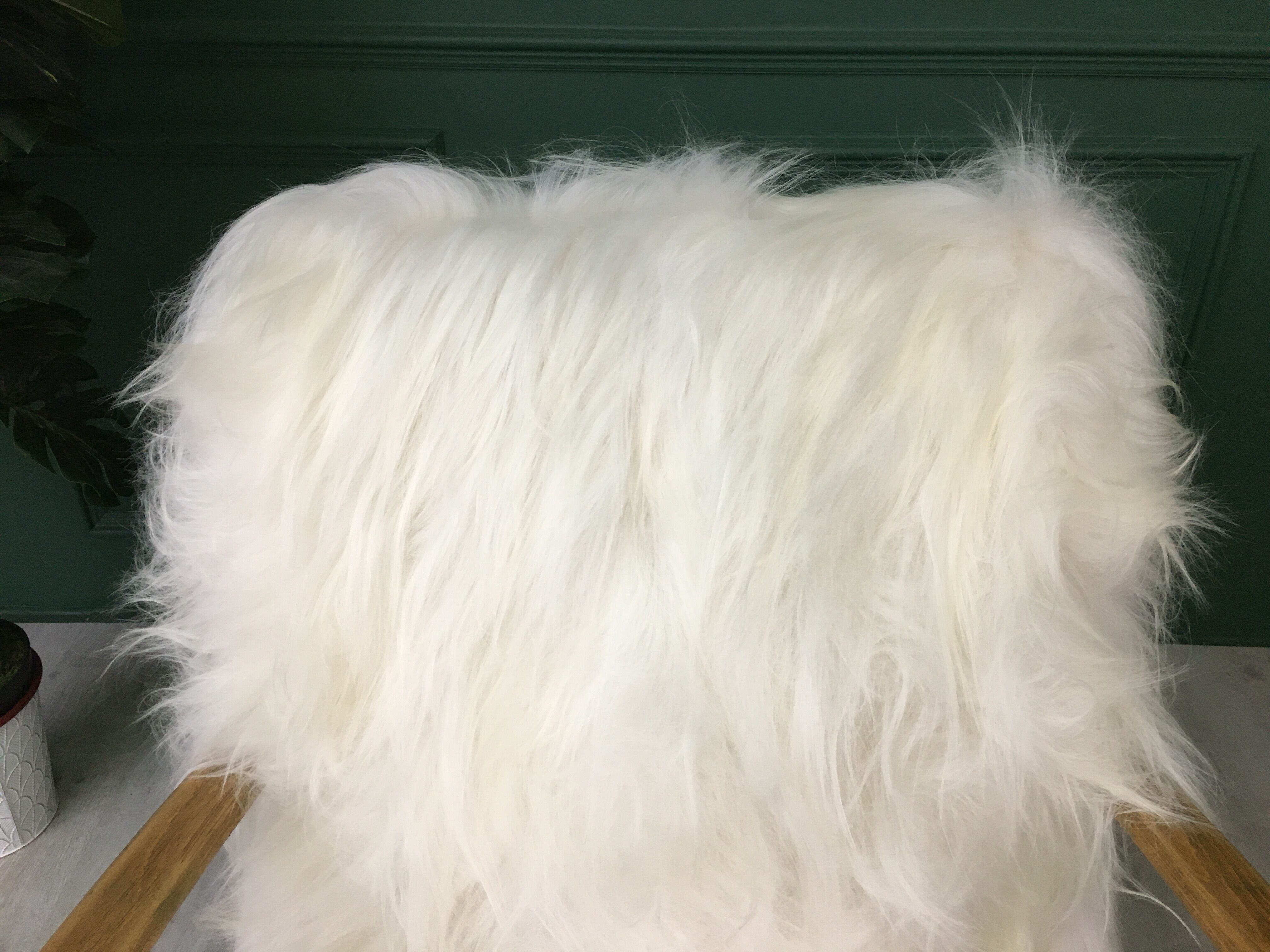White fluffy sheepskin bentwood armchair halabala