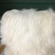 White fluffy sheepskin bentwood armchair halabala