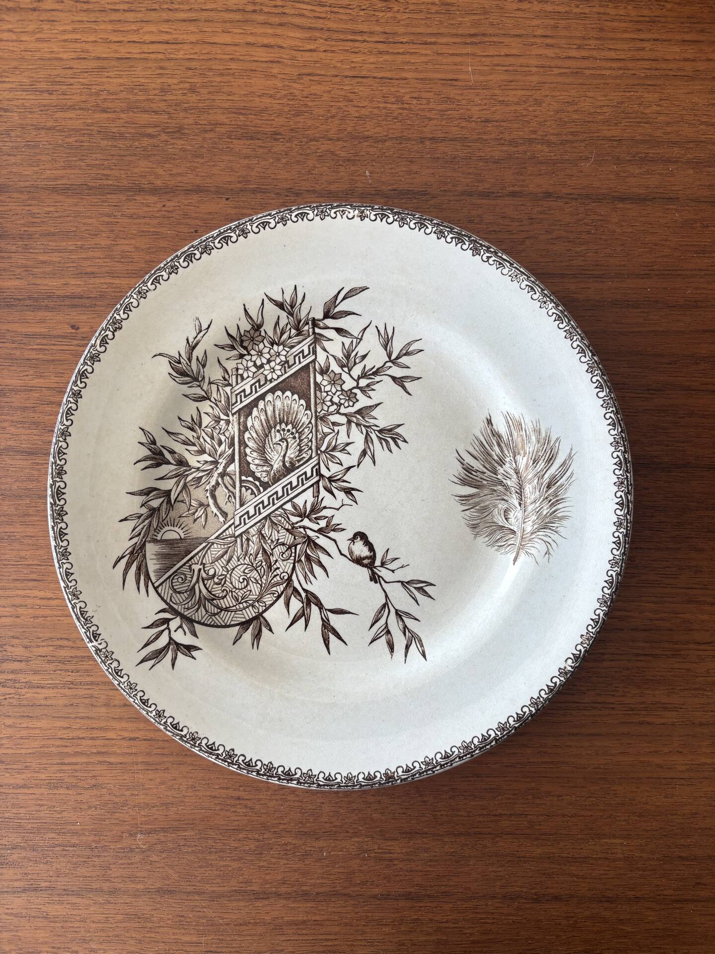 6 ironstone sepia plates | Grand Depot of Porcelains & Earthenware