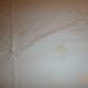 all tablecloth linen and towels 12 old lin brodees tables