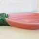 Radish dish in vallauris ceramic covain