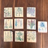 10 "herbarium" frames