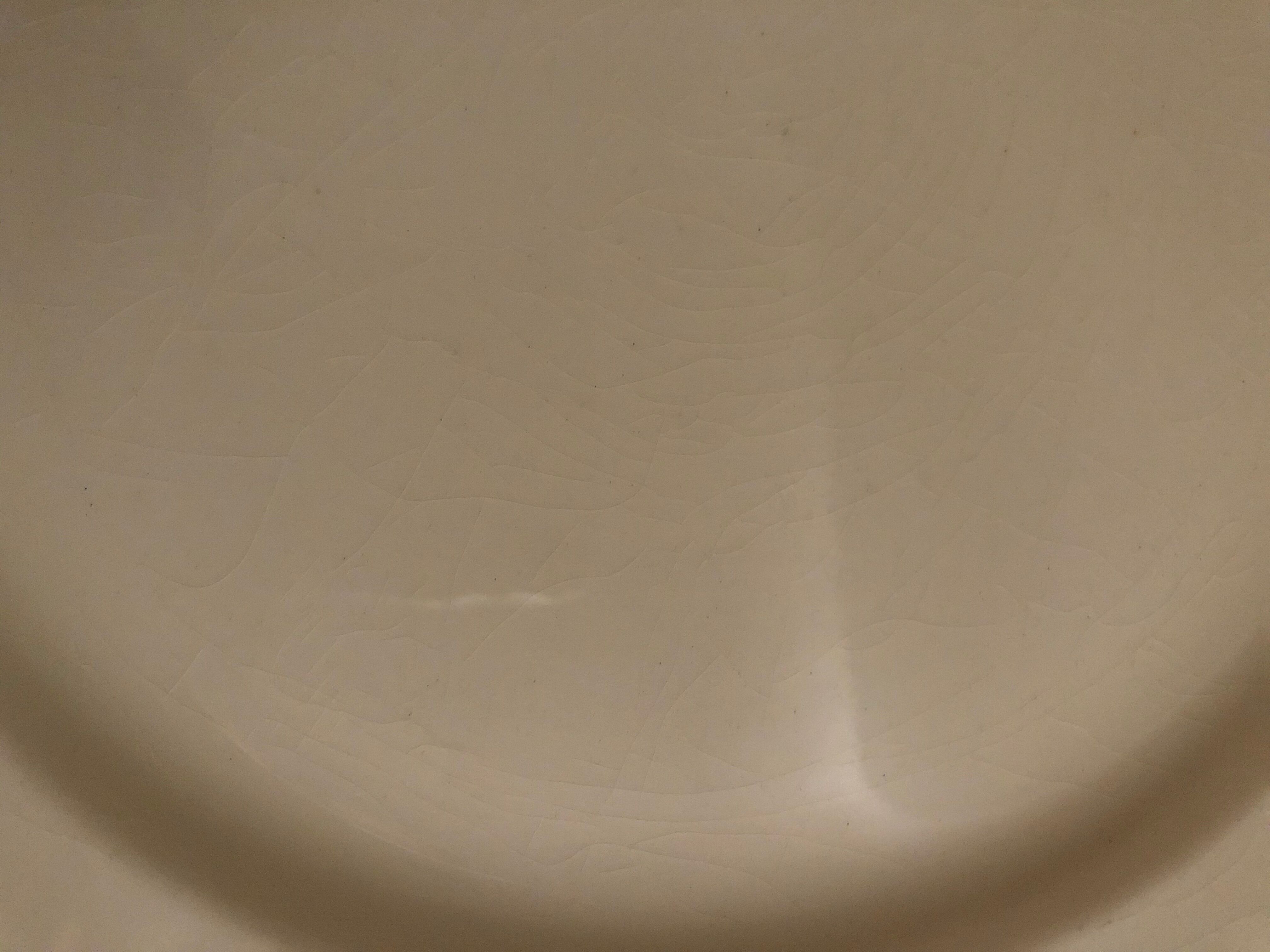 flat plates ivory Boch brothers