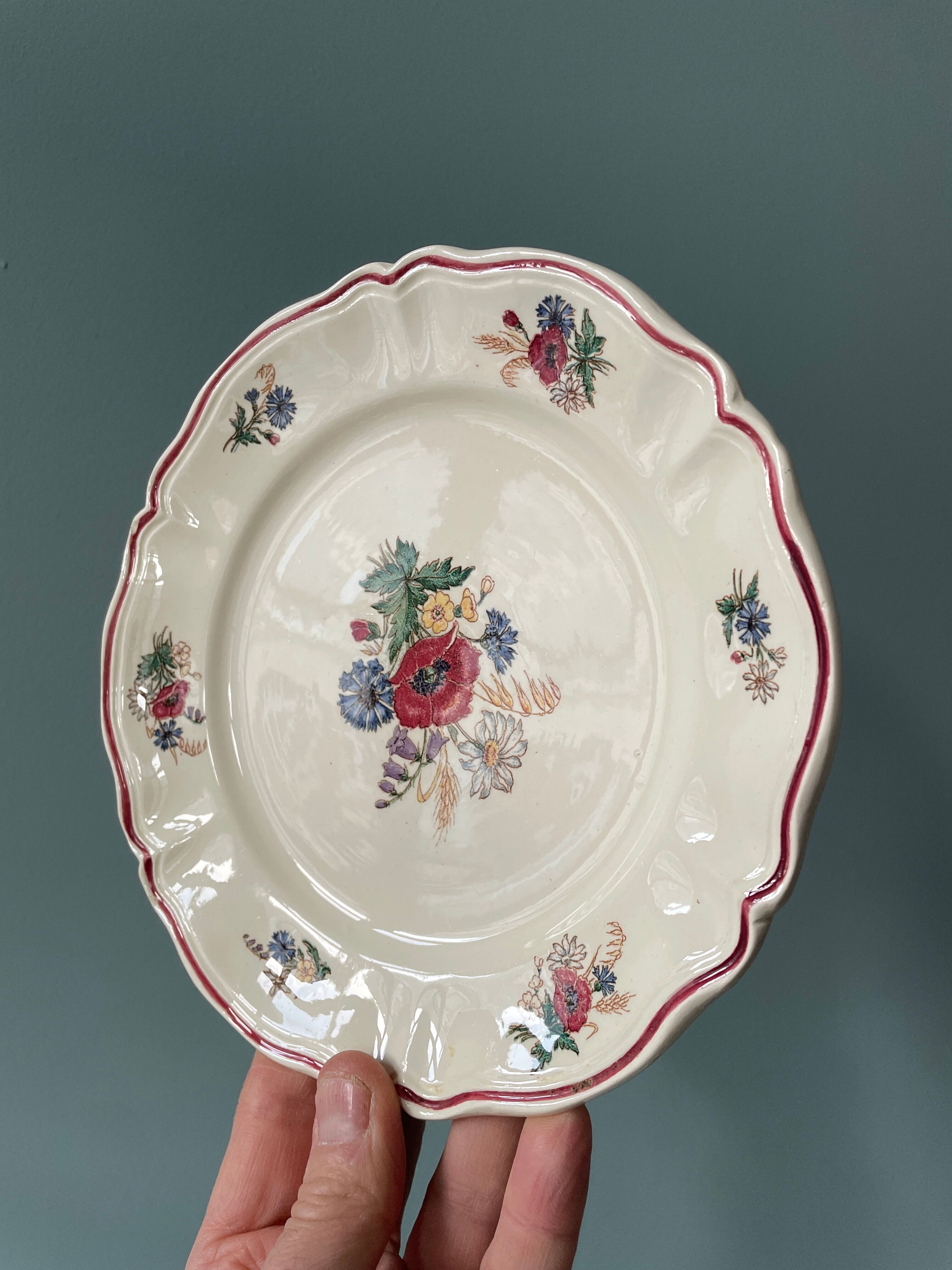 Set of 12 dessert plates Agreste Digoin Sarreguemines
