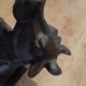 Cast Iron Cow