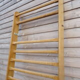 Gymnastics espalier in solid elm