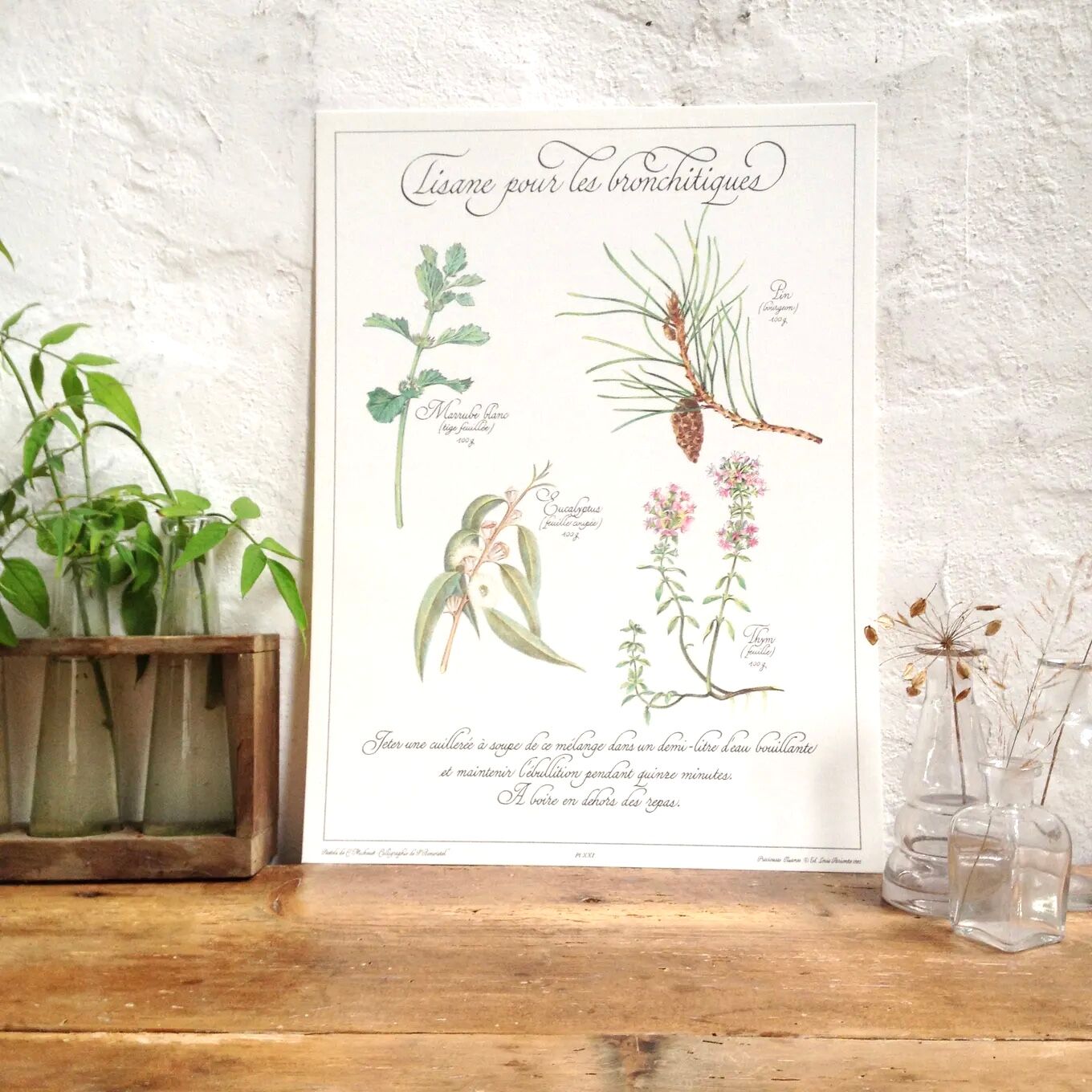 Botanical herbal tea